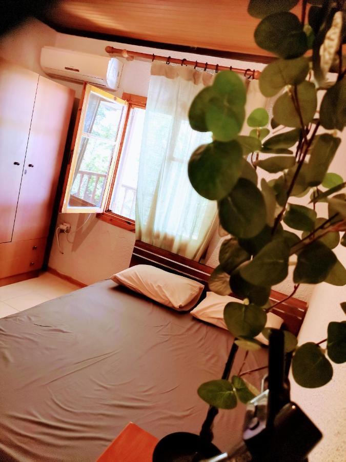 Green Vila Sozopoli Luaran gambar